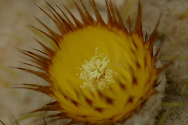 ad718459.jpg