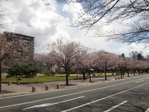 190408_01