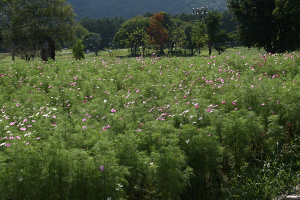 fd8c6876.jpg
