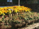 20111113-09