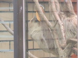 20111113-07