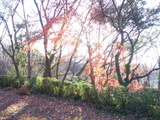20111218-01
