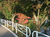 20111113-08