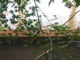 20111113-03