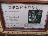 20111113-06