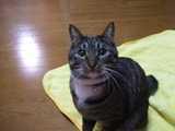 20120204-10