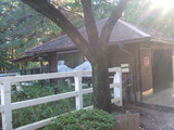 20111120-01