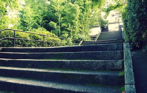 steps