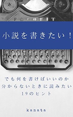 novel