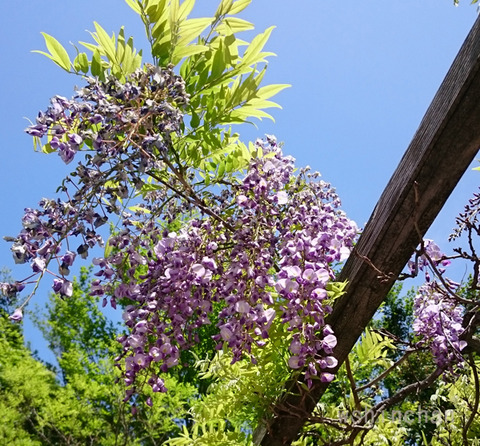 20180503g02
