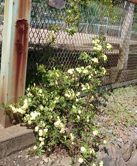 20180503f01