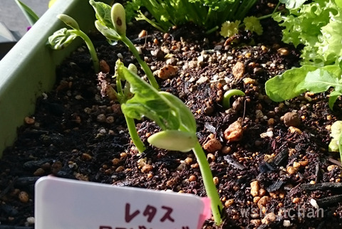 20180503h03