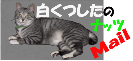 nattulogo
