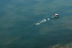 40c3a586.jpg