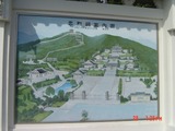 19����DSC01980