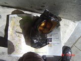 08DSC01962