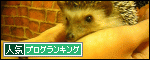 br_decobanner_20091017191450