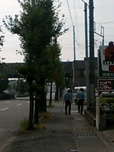 238b6237.JPG