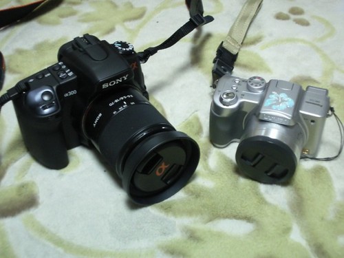 68e30550.jpg