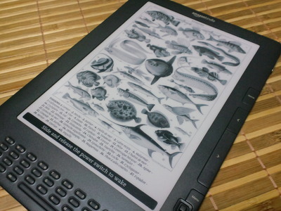 b2555cb2.jpg