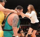 wwe b