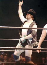 wwe ハンセン1