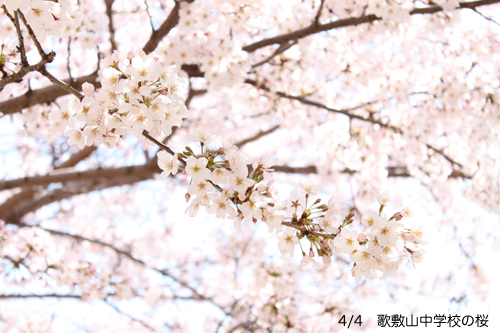 blog111のコピー