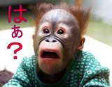 はあ?