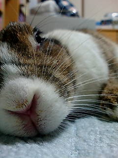046f87f5.jpg