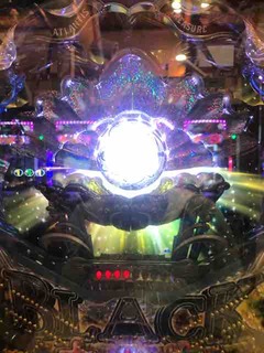 IMG_1041