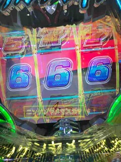 IMG_7134