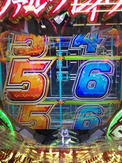 IMG_9955