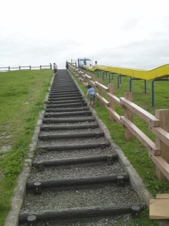 6116100c.jpg