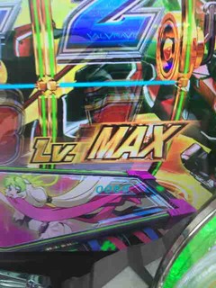 IMG_8041