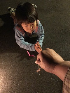 88934898.jpg