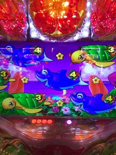 IMG_3034