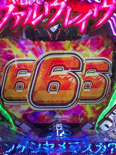 IMG_9567