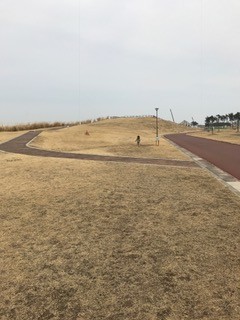 d231e012.jpg