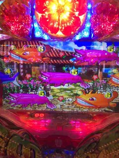 IMG_2019