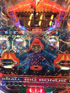 IMG_2931