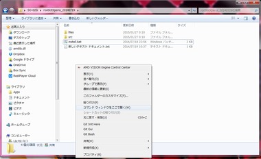 WS000294