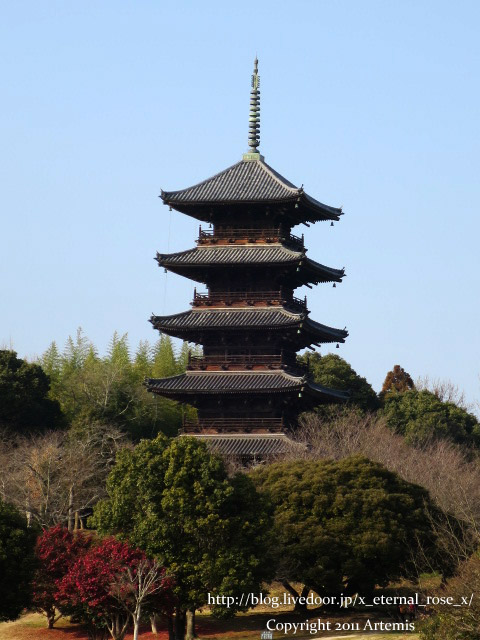 18.1.20. 備中国分寺 (8)