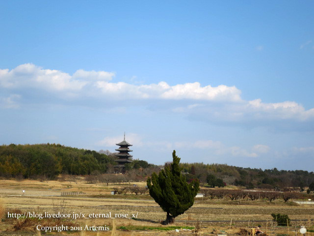 18.1.20. 備中国分寺 (1)