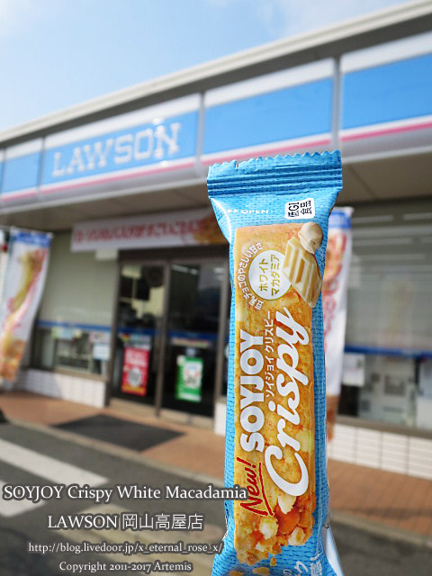 19 ローソン高屋店 (5)