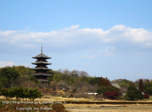 18.1.20. 備中国分寺 (3)