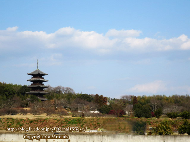 18.1.20. 備中国分寺 (2)