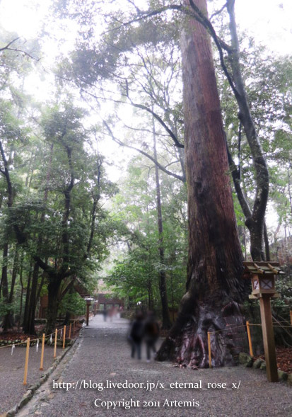 18.1.17.6 伊勢神宮内宮 (38)