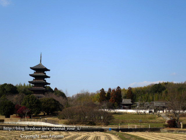 18.1.20. 備中国分寺 (6)