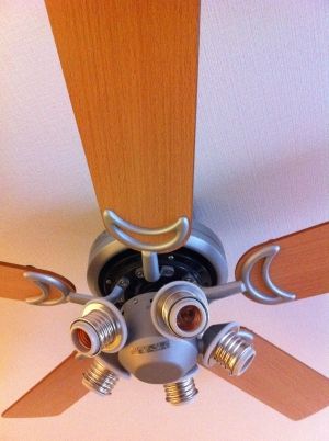 fan4