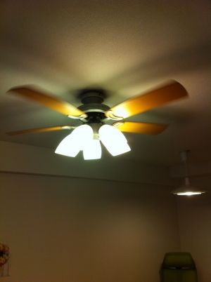 fan5